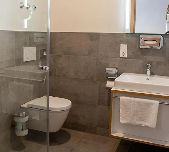 Altstadthotel Brauereigasthof Winkler 3* ברכינג