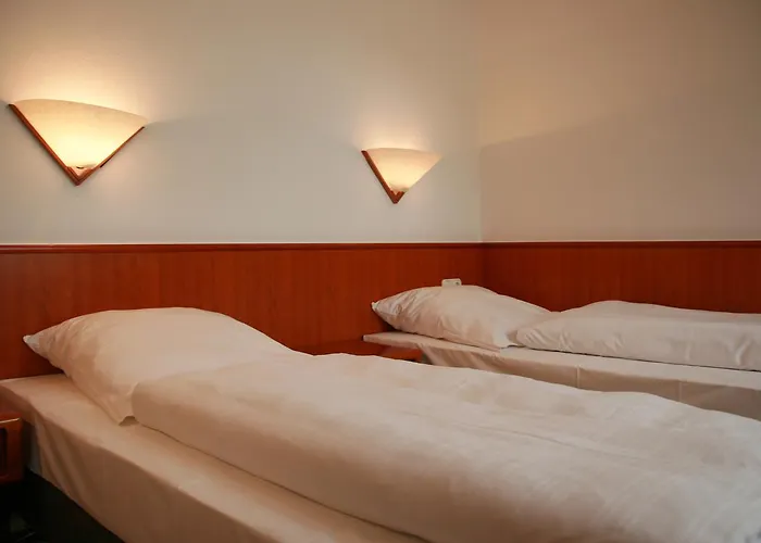 Altstadthotel Brauereigasthof Winkler מלון 3*